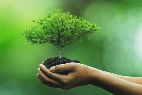 Eco Club